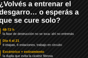 rupturas rupturas